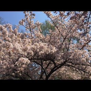 Meet your Posher, Maria